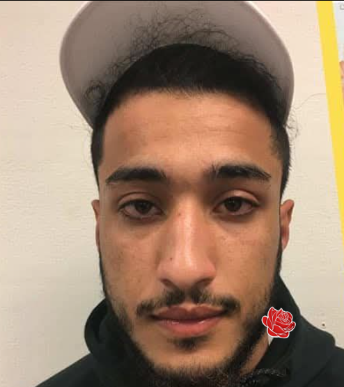 Mehdi – profile image